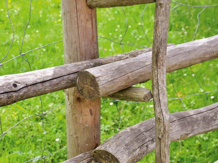 Ein traditioneller Stangenhag, eine Art des Holzzauns | © Urlaub am Bauernhof Oberösterreich / Harald Puchegger