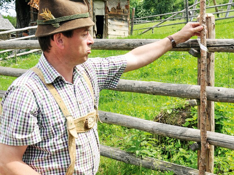 Bauer zeigt einen Stangenhag, ein traditioneller Holzzaun | © Urlaub am Bauernhof Oberösterreich / Harald Puchegger