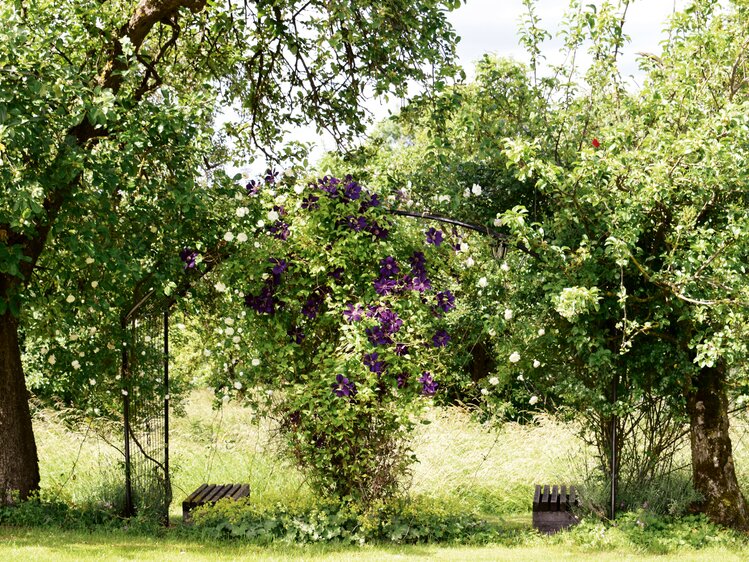 Ruhegarten am Waldbothgut | © Urlaub am Bauernhof Oberösterreich / Harald Puchegger