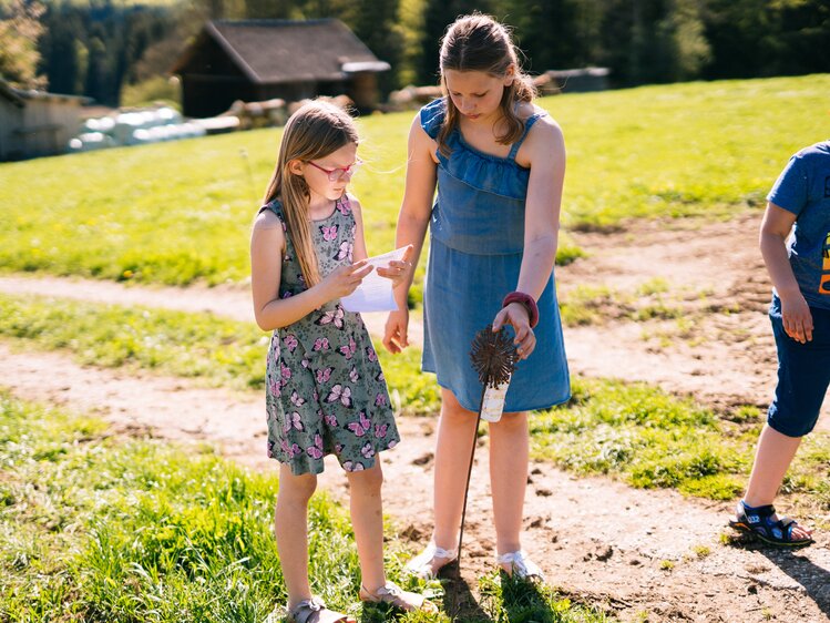 Kinder spielen draußen in der Natur | © Urlaub am Bauernhof Oberösterreich / Daniel Gollner