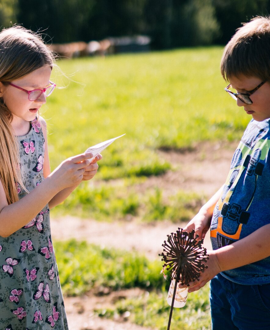 Kinder spielen draußen in der Natur | © Urlaub am Bauernhof Oberösterreich / Daniel Gollner