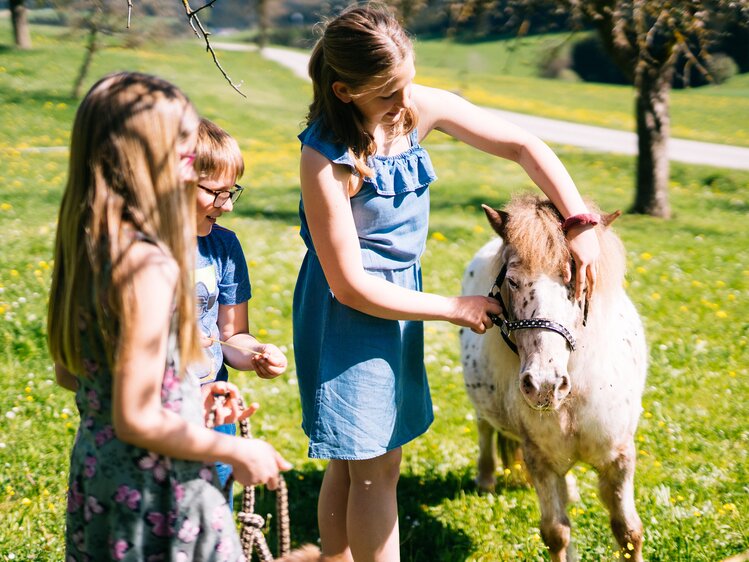 Kinder streicheln ein Pony auf der Wiese | © Urlaub am Bauernhof Oberösterreich / Daniel Gollner