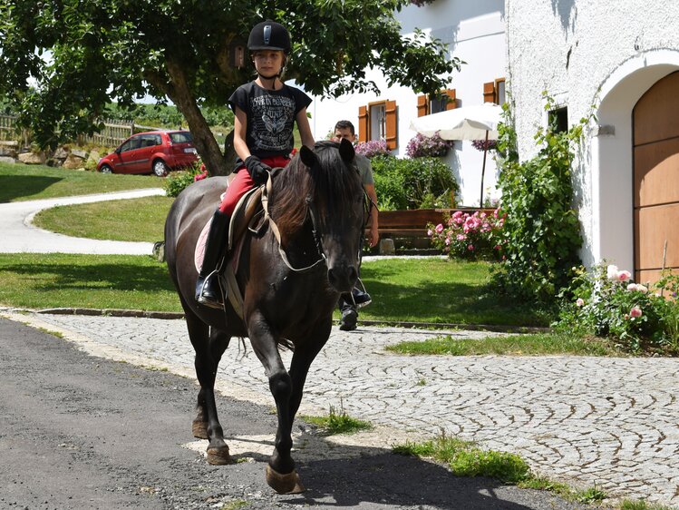 Mädchen reitet auf Pony am Bauernhof | © Urlaub am Bauernhof Oberösterreich  / Harald Puchegger