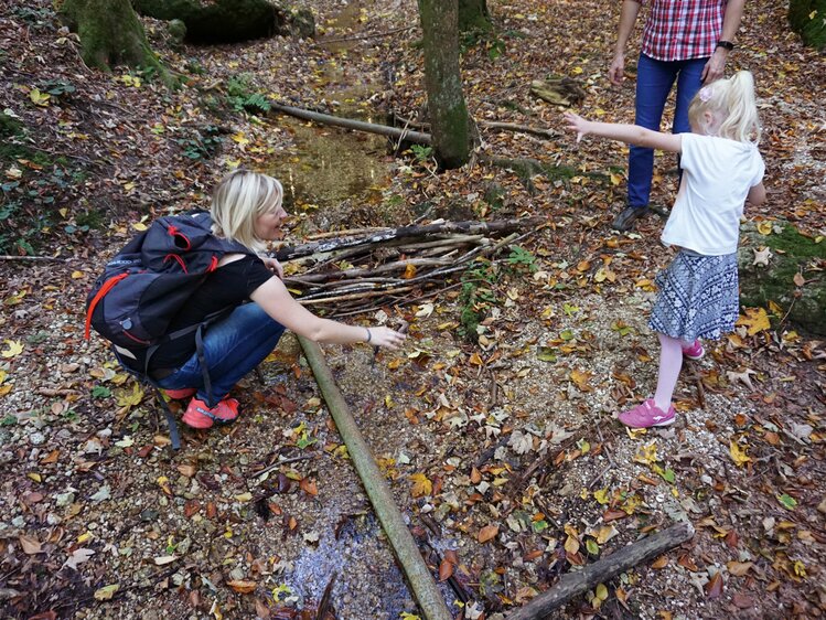 Kind spielt im Wald mit Ästen | © Urlaub am Bauernhof Oberösterreich / Harald Puchegger