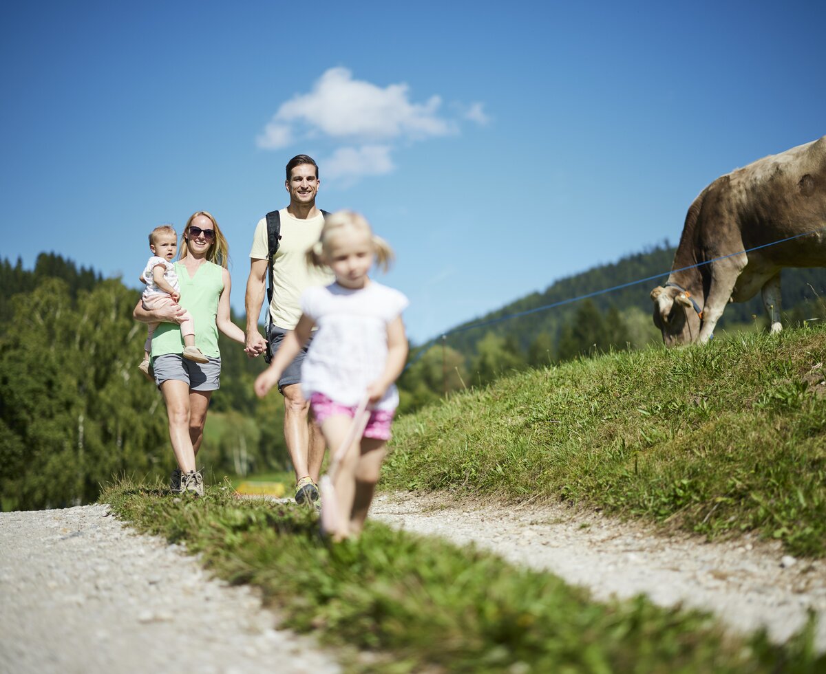 Familienwanderung | © Urlaub am Bauernhof Oberösterreich / Alexander Kaiser