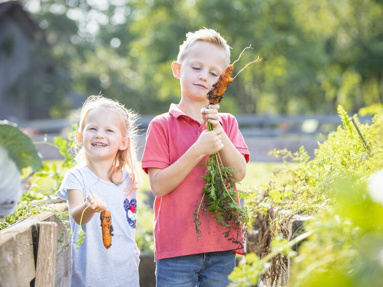 Zwei Kinder mit frisch geernteten Karotten aus dem Garten | © Urlaub am Bauernhof Oberösterreich / Andreas Hofer