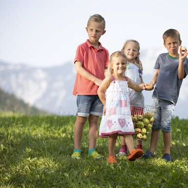Äpfel von der Obstwiese holen | © Urlaub am Bauernhof Oberösterreich / Andreas Hofer Kinder holen Äpfel von der Obstwiese | © Urlaub am Bauernhof Oberösterreich / Andreas Hofer