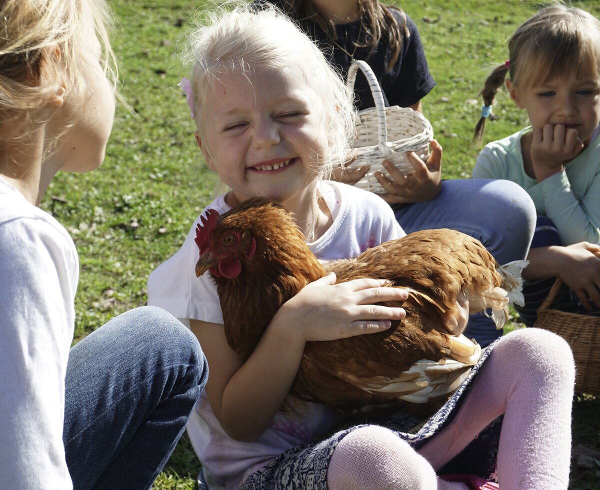 Kind hält ein Huhn auf dem Arm und streichelt es | © Urlaub am Bauernhof Oberösterreich / Harald Puchegger