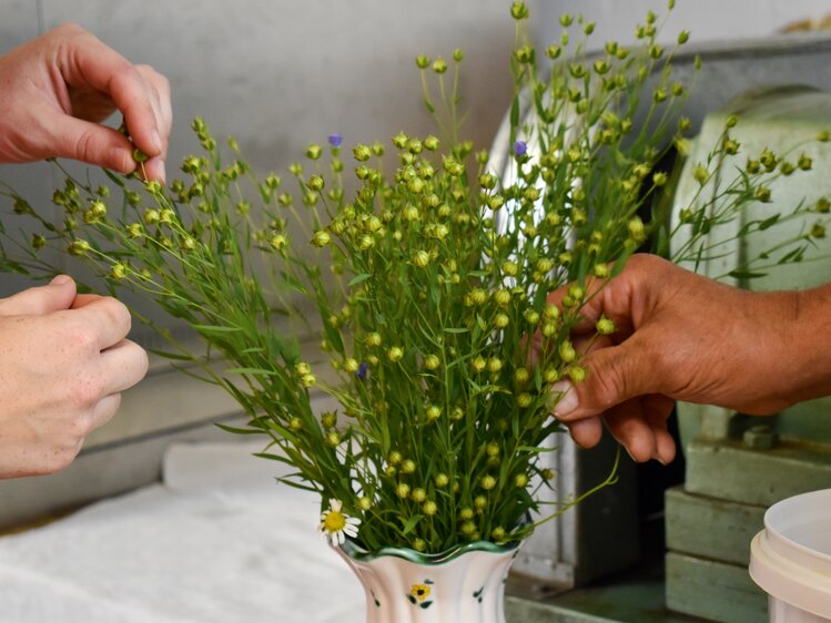 Ein Strauß Gemeiner Lein in der Vase | © Urlaub am Bauernhof Oberösterreich / Harald Puchegger