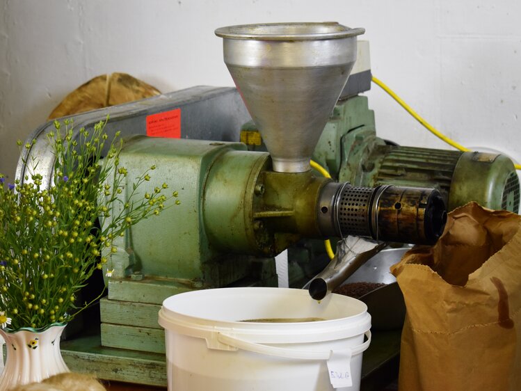 Leinölpresse und ein Strauß Gemeiner Lein in der Vase | © Urlaub am Bauernhof Oberösterreich / Harald Puchegger