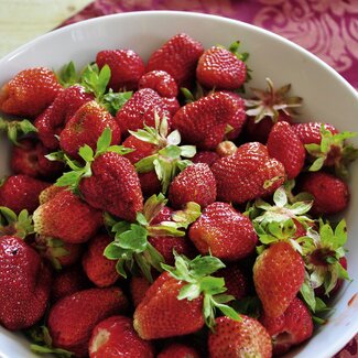 Schüssel mit frischen Erdbeeren | © Urlaub am Bauernhof Oberösterreich / Harald Puchegger