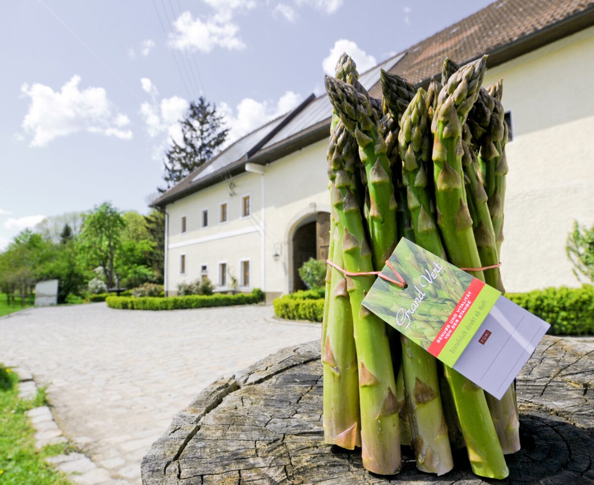 Grüner Spargel, frisch geerntet, im Hintergrund das Nussböckgut in Leonding, Zentralraum | © Urlaub am Bauernhof Oberösterreich / Giordano Aita