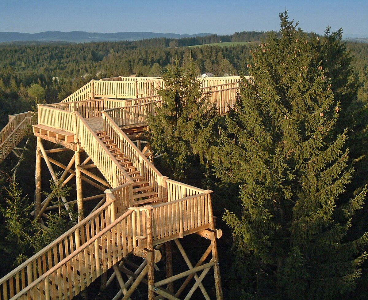 Blick auf die Holzkonstruktionen am Baumkronenweg in Kopfing, Innviertel-Hausruckwald | © Oberösterreich Tourismus GmbH / Baumkronenweg