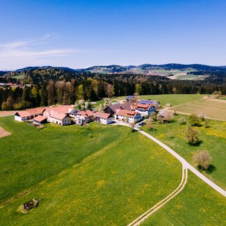 Biohof Stadler in Oberkappel, Mühlviertel | © Urlaub am Bauernhof Oberösterreich / Daniel Gollner