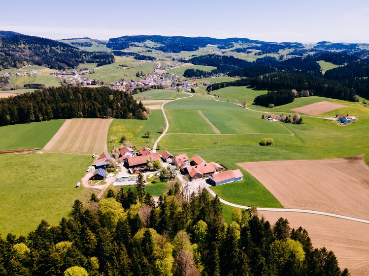 Biohof Stadler in Oberkappel, Mühlviertel | © Urlaub am Bauernhof Oberösterreich / Daniel Gollner