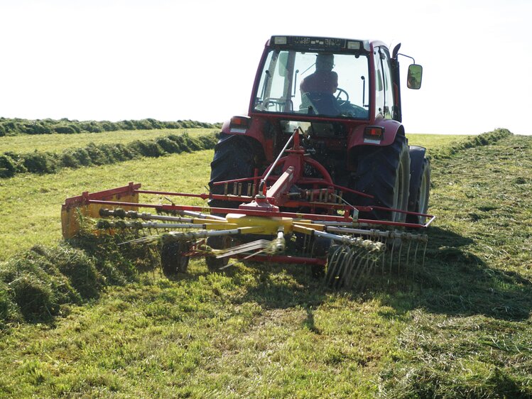 Gemähtes Gras wird zu Zeilen zusammengefasst | © Urlaub am Bauernhof Oberösterreich / Harald Puchegger