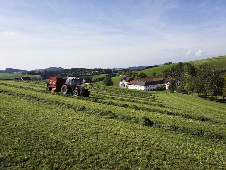 Traktor erntet gemähte Wiese am Löschgruberhof in Rechberg, Mühlviertel | © Urlaub am Bauernhof Oberösterreich / Harald Puchegger