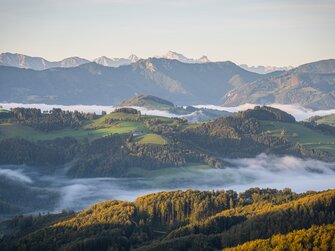 Blick in Richtung Kalkalpen von der Dambergwarte in St. Ulrich bei Steyr | © Oberösterreich Tourismus GmbH / Martin Fickert