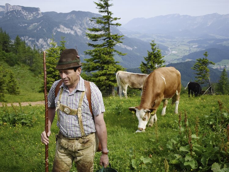 Almbauer mit Kühen, im Hintergrund die Berge der Nationalparkregion Kalkalpen | © Urlaub am Bauernhof Oberösterreich / Harald Puchegger