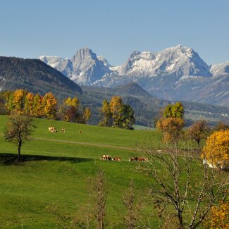 Blick auf das Tote Gebirge mit herbstlichen Wäldern im Vordergrund, Nationalparkregion Kalkalpen | © Urlaub am Bauernhof Oberösterreich / Harald Puchegger