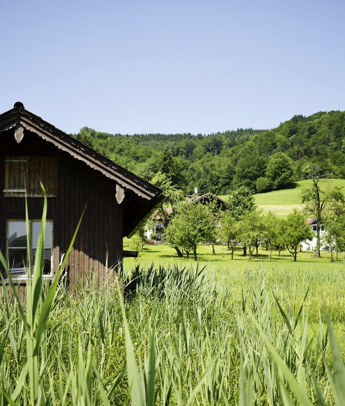 Hütte im Schilf am See | © Urlaub am Bauernhof Oberösterreich / Harald Puchegger