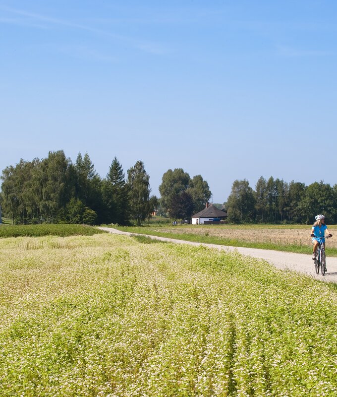 Zwei Radler auf dem Römerradweg, Zentralraum | © Oberösterreich Tourismus GmbH / Hermann Erber