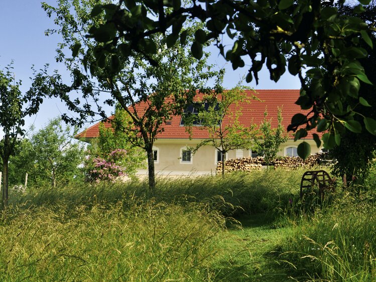 Ruheplätze nahe der Stadtgrenze von Linz | © Urlaub am Bauernhof Oberösterreich / Harald Puchegger