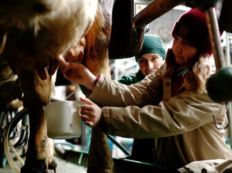 Mädchen lernt von der Bäuerin, wie man eine Kuh milkt | © Urlaub am Bauernhof Oberösterreich / Daniel Gollner