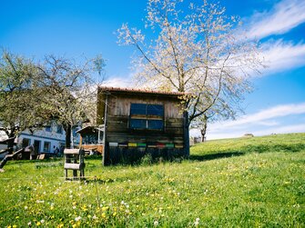 Bienenhütte mitten in der Natur | © Urlaub am Bauernhof Oberösterreich / Daniel Gollner