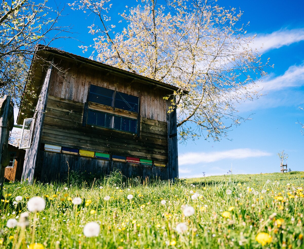 Bienenhütte mitten in der Natur | © Urlaub am Bauernhof Oberösterreich / Daniel Gollner