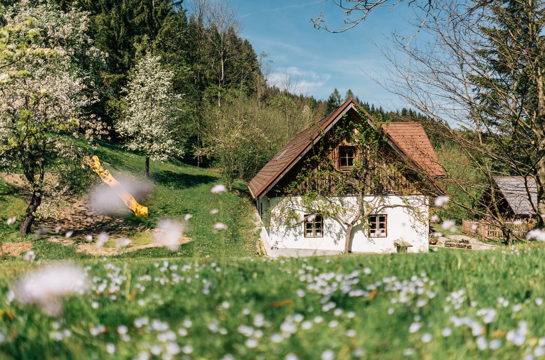 Außenansicht Hof mit Garten | © Urlaub am Bauernhof / Daniel Gollner