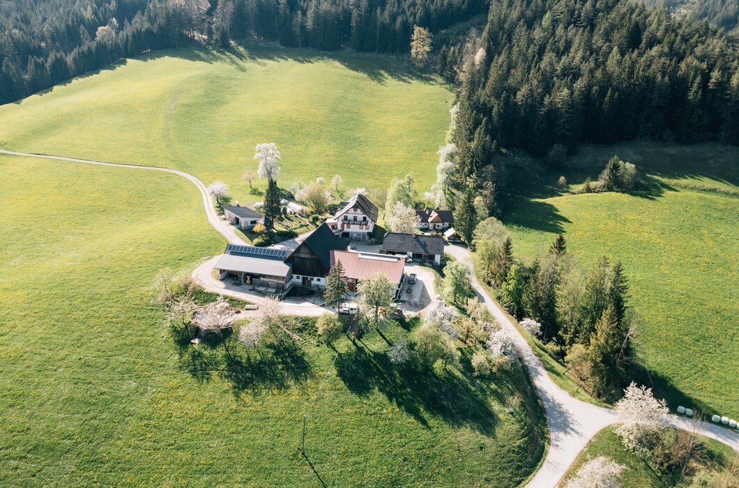 Drohnenaufnahme Hof | © Urlaub am Bauernhof / Daniel Gollner 