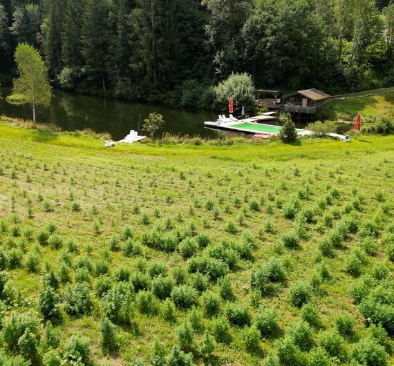 Hanffeld von oben | © Urlaub am Bauernhof / Daniel Gollner