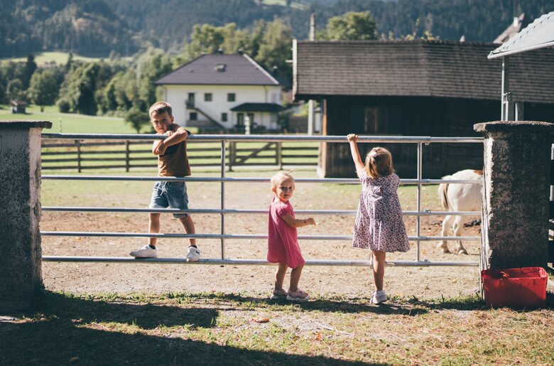 Kinder am Zaun | © Urlaub am Bauernhof / Daniel Gollner