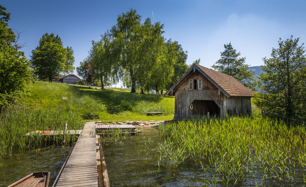 Blick vom Steg ans Ufer am Ferienbauernhof Ederbauer | © Urlaub am Bauernhof Österreich / Bernd Suppan