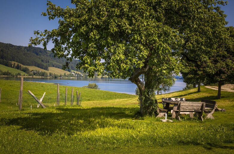 Sitzgruppe im Obstgarten am Ferienhof Ederbauer | © Urlaub am Bauernhof Österreich / Bernd Suppan