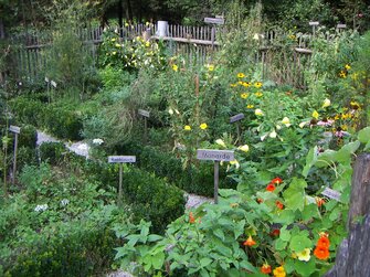 Kräutergarten im Salzburger Freilichtmuseum | © Salzburger Freilichtmuseum