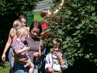 Kinder bei den frischen Beeren | © Karin Schabus