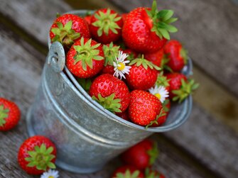 Erdbeeren in Metalleimer mit Blume | © Pixabay