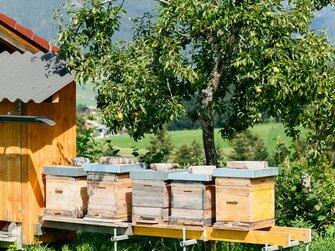 Verschiedene Bienenstöcke im Sommer | © Urlaub am Bauernhof 