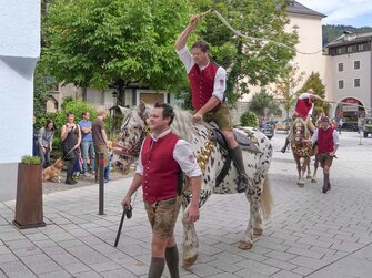 Pferde beim Almabtrieb | © Urlaub am Bauernhof / Gerhard Liebenberger 