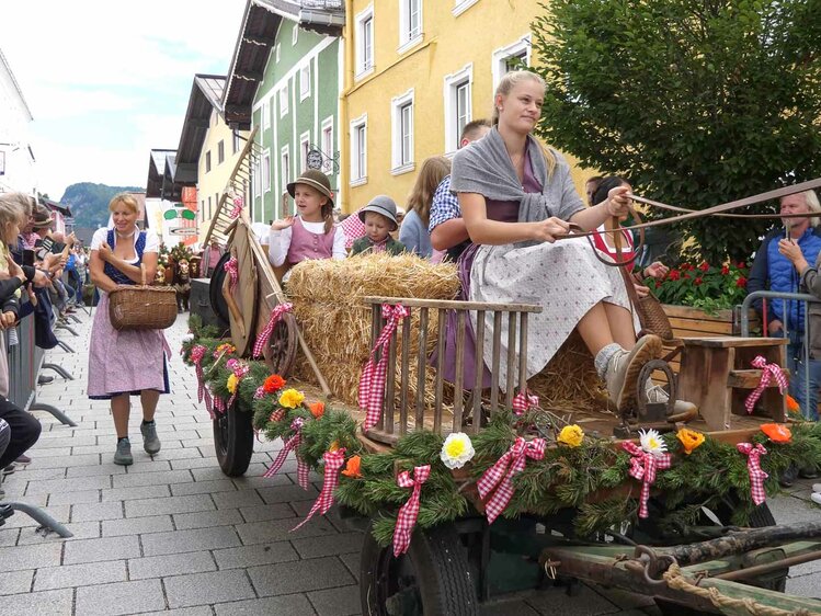 Almabtrieb Radstadt | © Urlaub am Bauernhof / Gerhard Liebenberger 