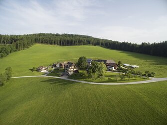 Luftaufnahme vom Hönigshof in der Oststeiermark | © Urlaub am Bauernhof Österreich / Werner Steinkellner