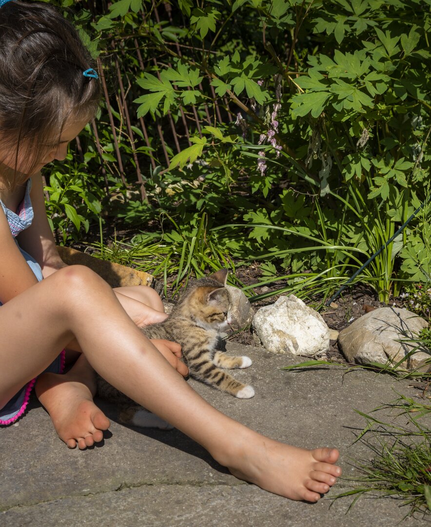 Mädchen mit kleiner Katze | © Urlaub am Bauernhof Österreich / Bernd Suppan