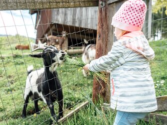 Mädchen füttert Ziege durch den Zaun  | © Urlaub am Bauernhof / Daniel Gollner