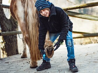 Bub hebt Hinterfuss von Pferd | © Urlaub am Bauernhof Österreich / Ludwig