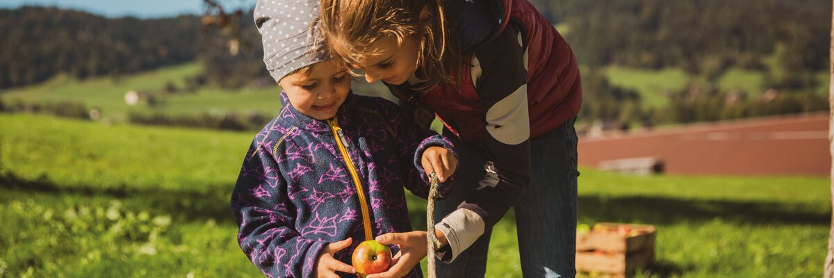 Zwei Kinder bei der Apfelernte mit Apfel in der Hand im Herbst | © Urlaub am Bauernhof in Österreich / Pascal Baronit