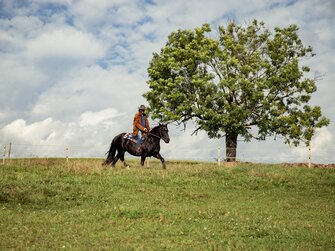 Bauer reitet über die Wiese am Pferdehof Stockner auf der Teichalm | © Urlaub am Bauernhof Österreich / Andreas Hofer