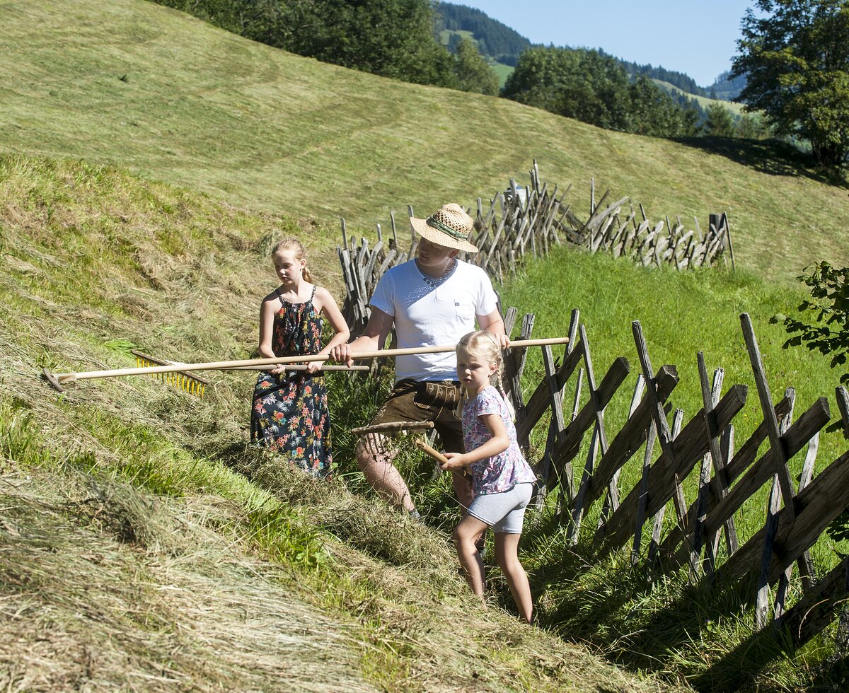 Heuarbeit im Sommer, am Reitbauernhof in Großarl, Salzburger Land | © Urlaub am Bauernhof Salzburger Land / Hans Huber