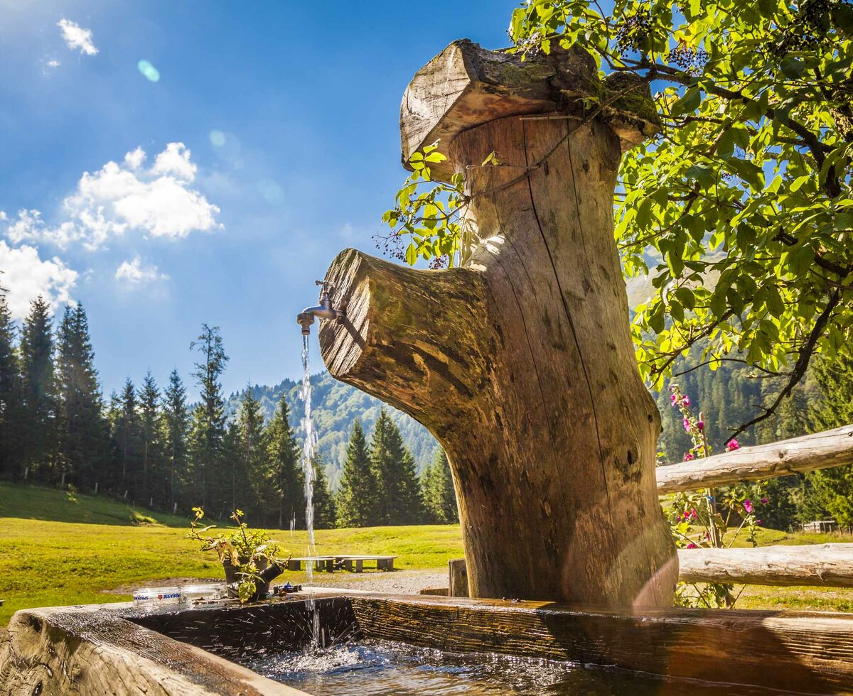 Brunntrog auf der Grögernalm in Faistenau im Salzburger Land | © Urlaub am Bauernhof Salzburger Land / Bernd Suppan